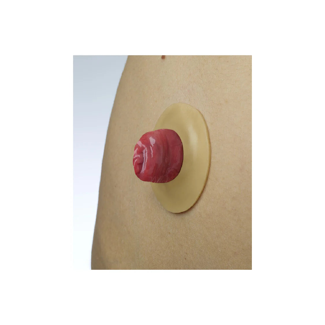 Brava Mouldable Rings Protective Seal-2 MM ( 12030 )