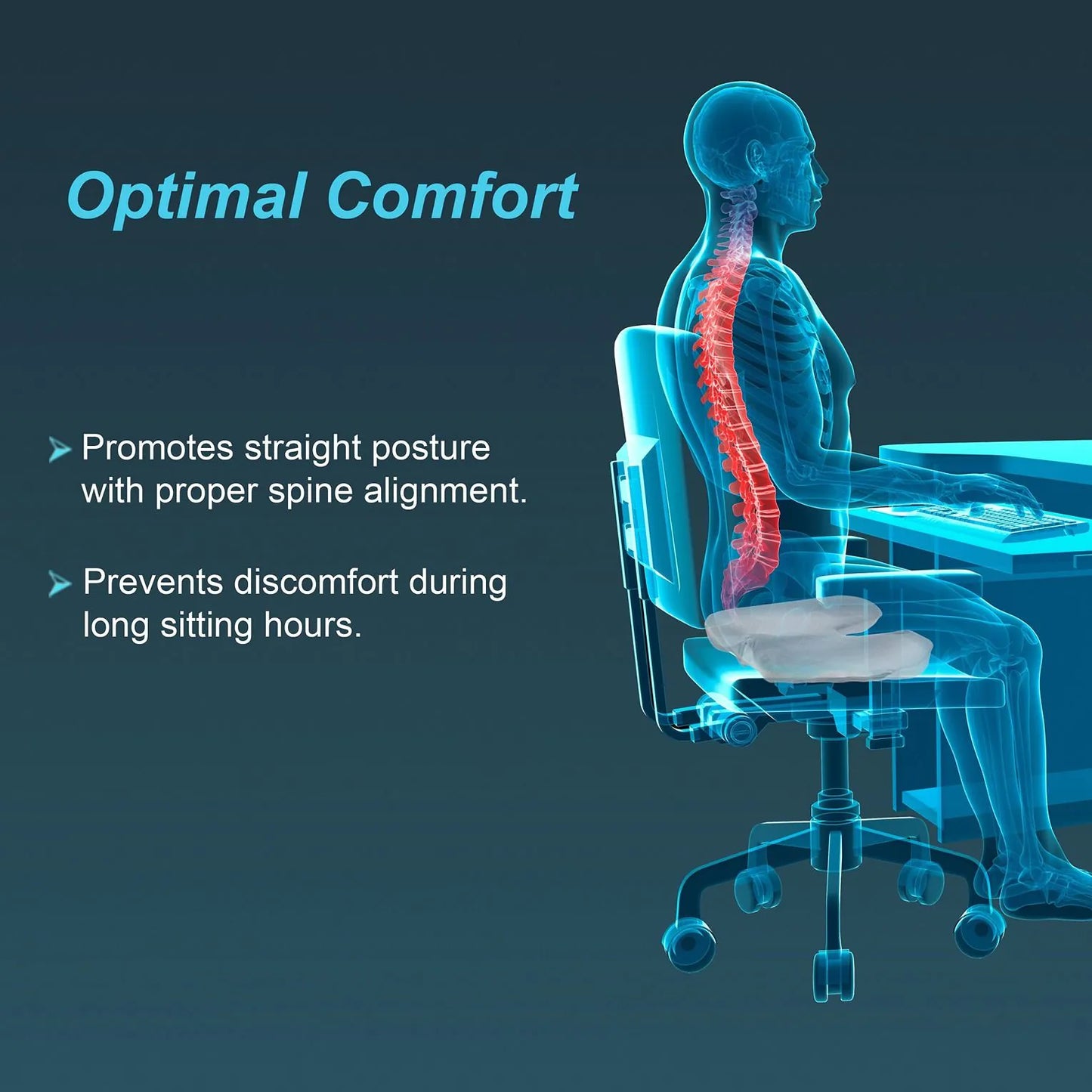 Tynor Ortho Cushion Seat ( H-23 )