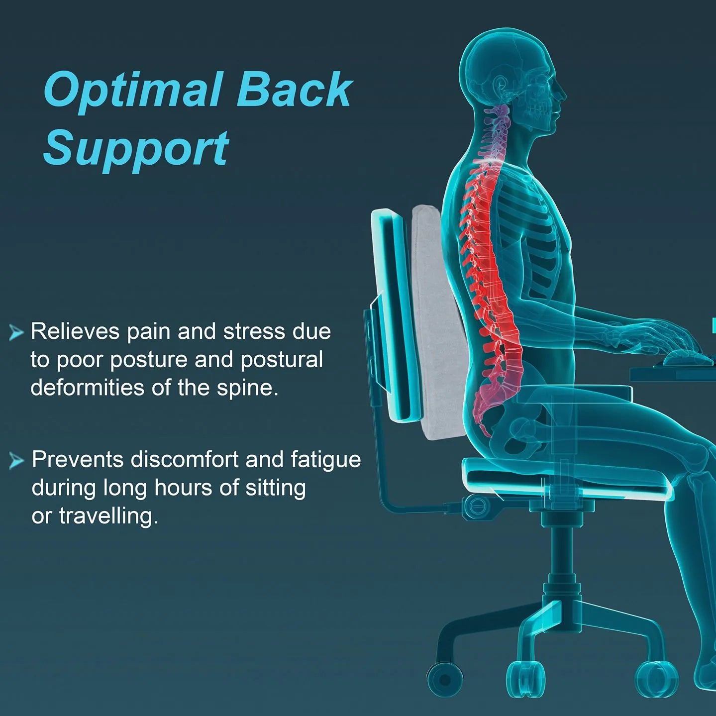 Tynor Back Rest Full ( I-46 )