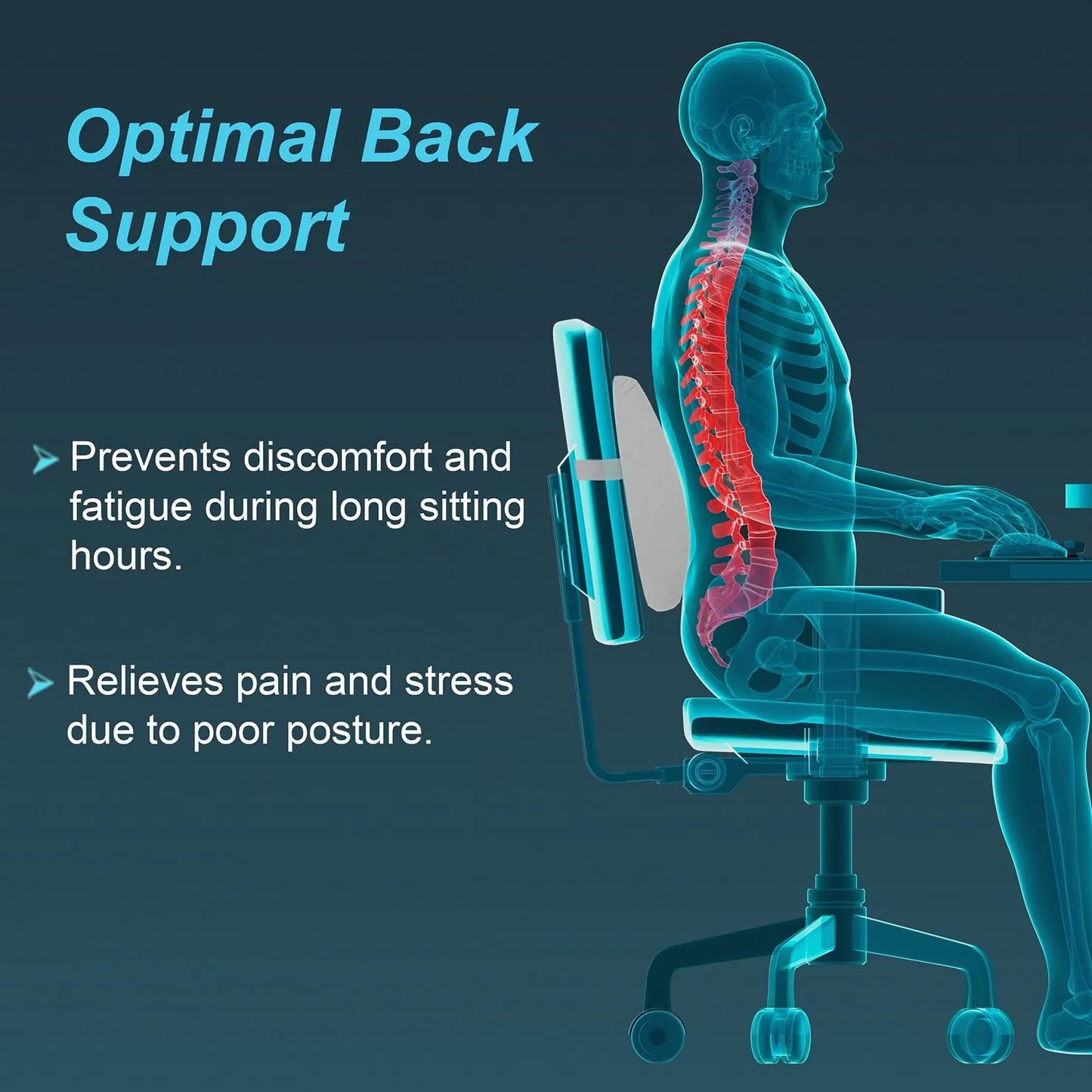 Tynor Lumbo Back Rest ( I-91 )