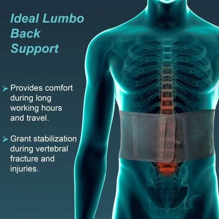 Tynor Contoured Lumbar Support Belt (Medium)