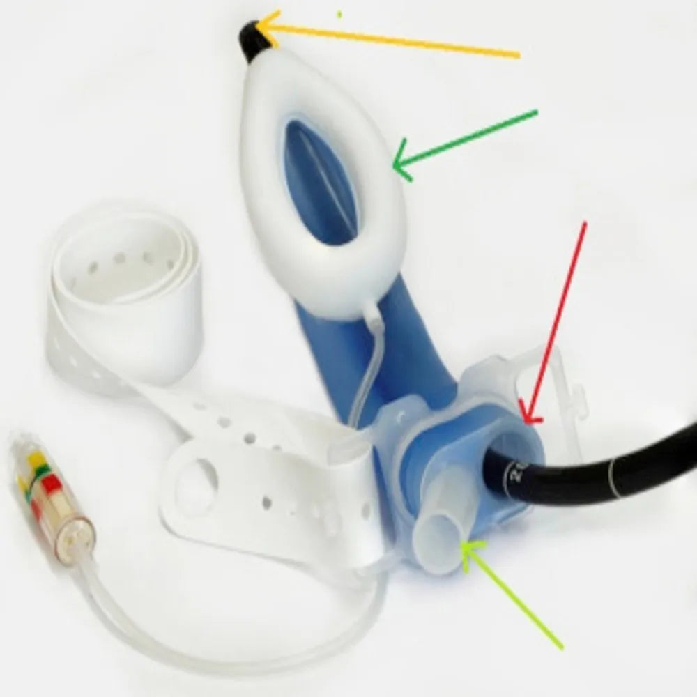 Rusch LMA Gastro Airway Tube – Secure Ventilation for GI Procedures