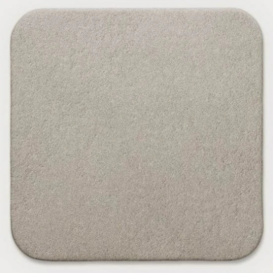 Mepilex Ag 20cm X 20cm