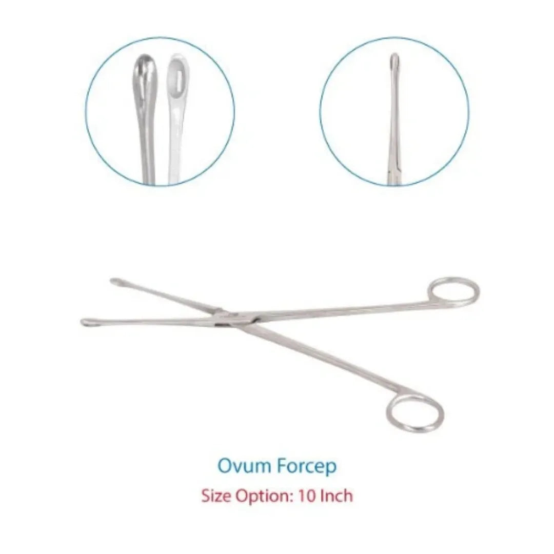 Ovum Forcep 10 Inch Surgical Instrument
