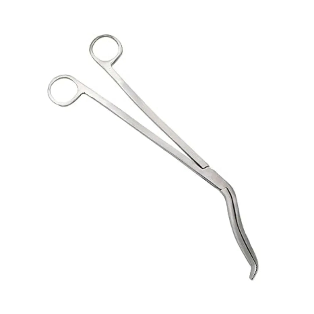 Surgical Cheatle Scissor 10 Inch Stainless Steel