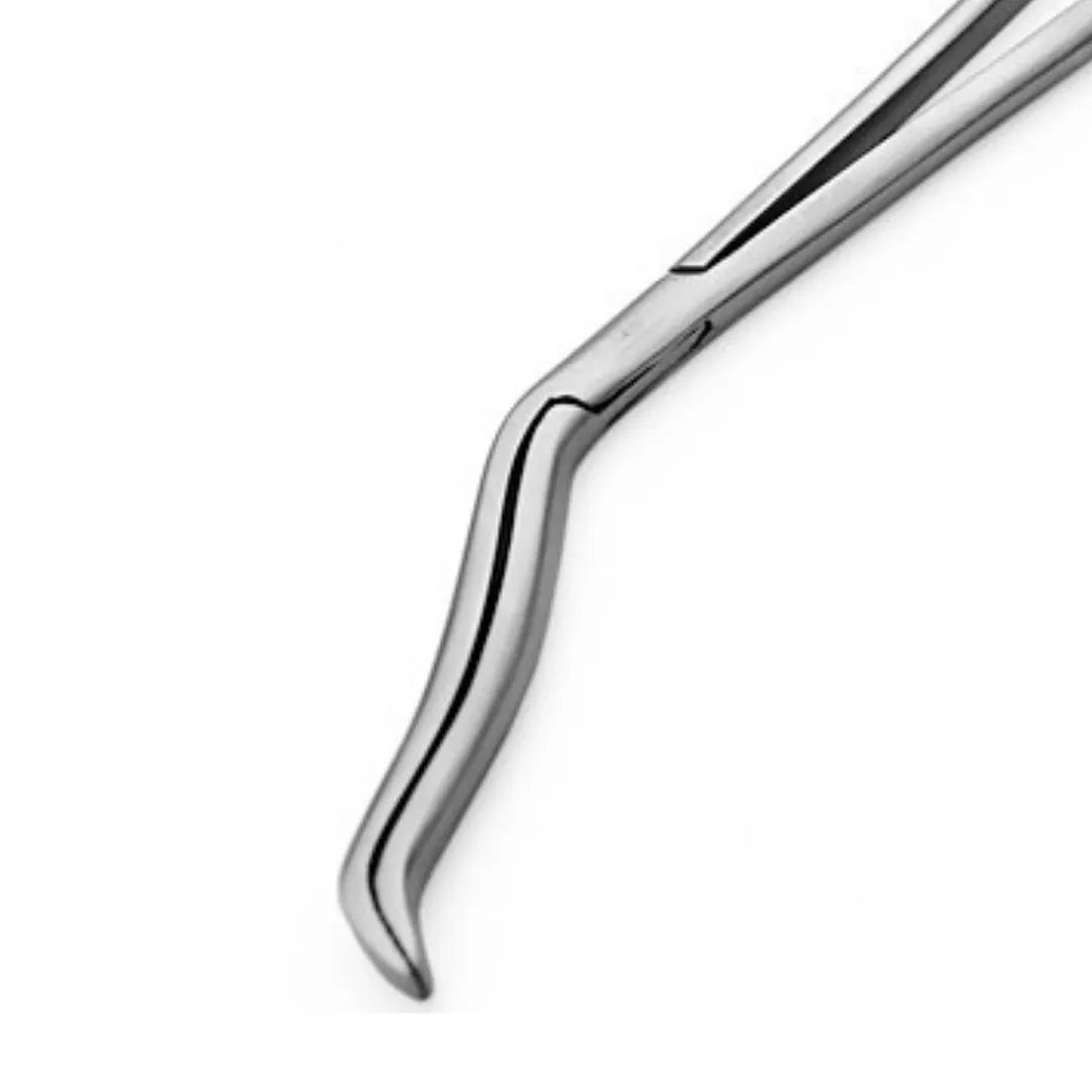Surgical Cheatle Scissor 10 Inch Stainless Steel