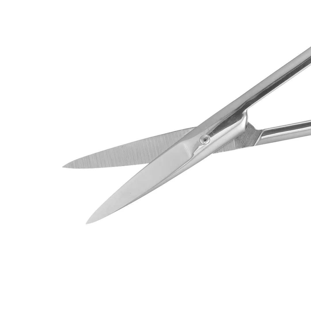 Surgical Scissors 4 Inch
