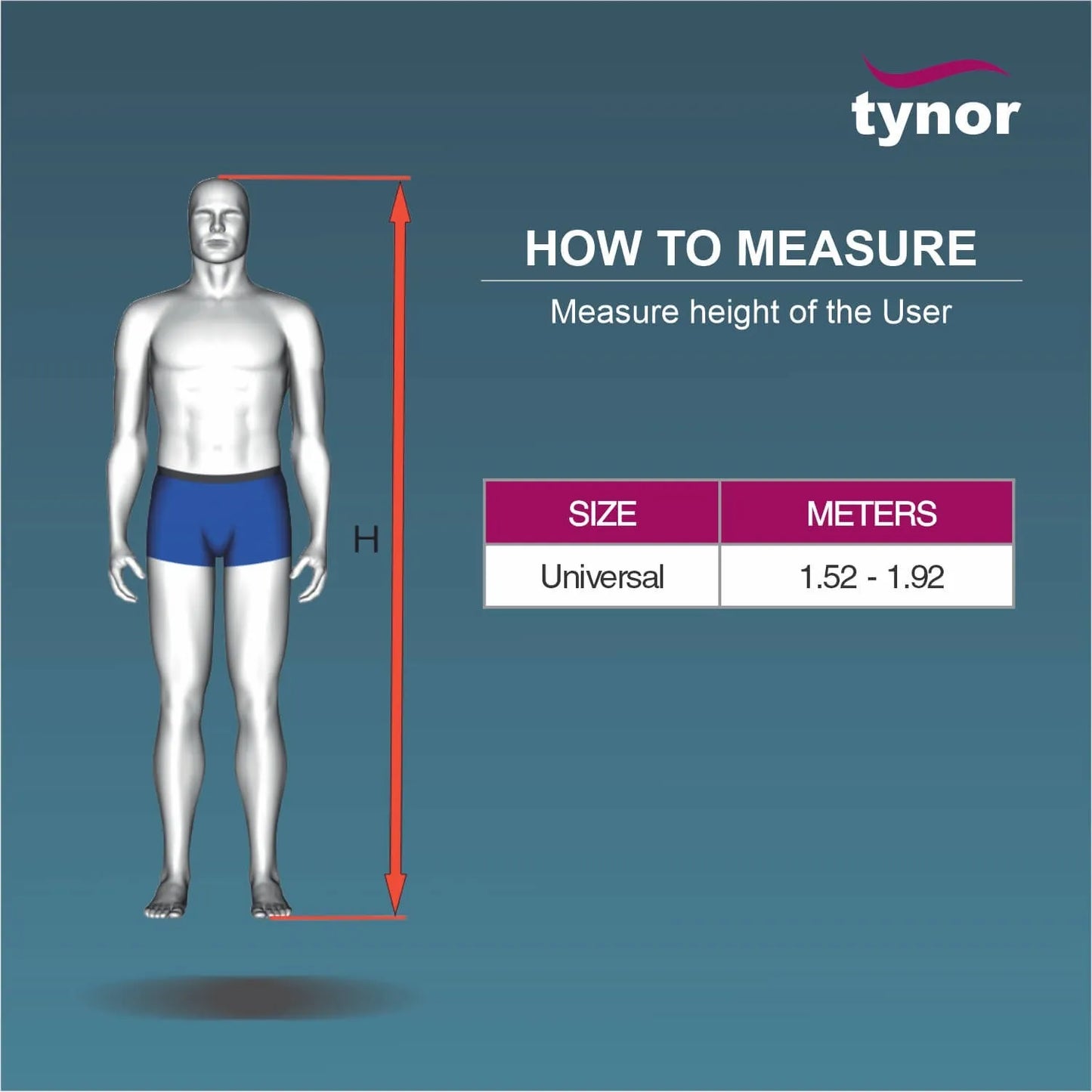 Tynor Back Rest - Universal