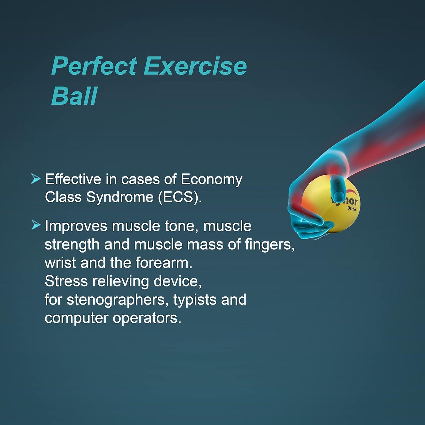 Tynor Exercising Ball PU ( H-05 )